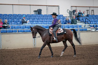2019 Morgan Horse Show - Aug 31, 2019 - 10549