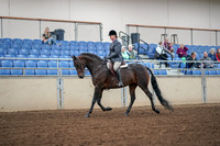 2019 Morgan Horse Show - Aug 30, 2019 - 13872