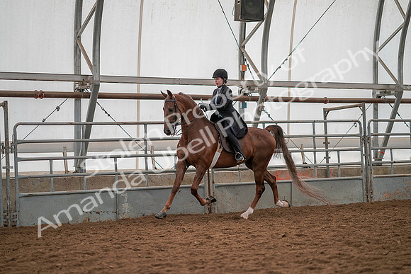 July 19, 2019 - 13148