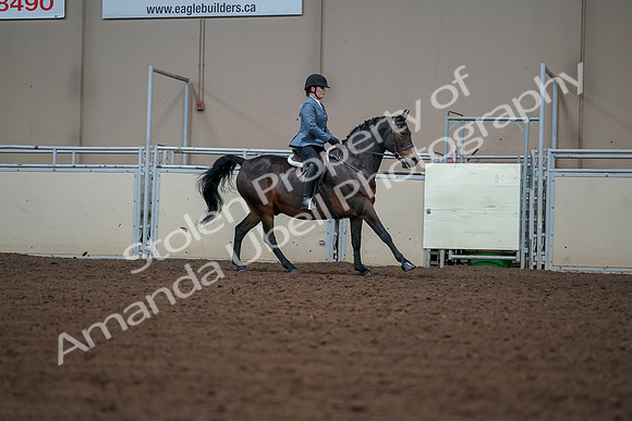 2019 Morgan Horse Show - Aug 30, 2019 - 18595