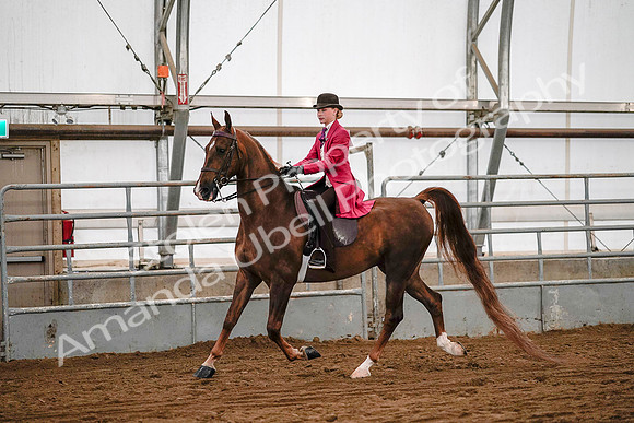 July 19, 2019 - 8729