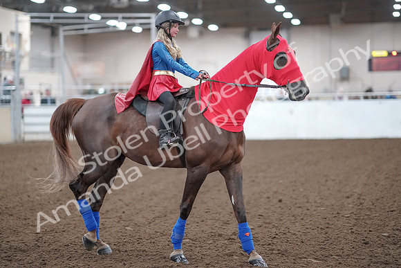 2019 Morgan Horse Show - Aug 31, 2019 - 10001