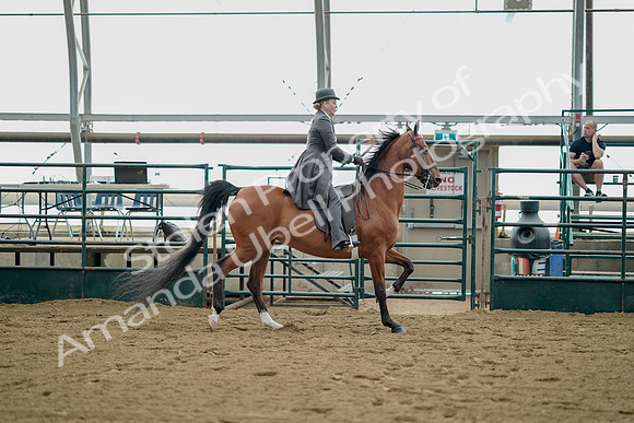 July 21, 2019 - 01831