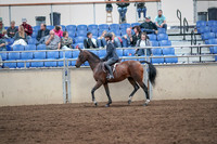 2019 Morgan Horse Show - Aug 31, 2019 - 21377