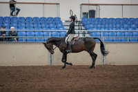 2019 Morgan Horse Show - Aug 31, 2019 - 06320