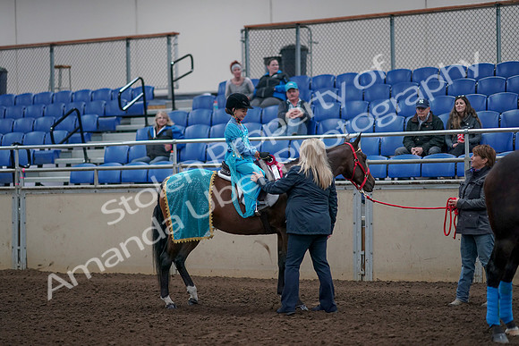 2019 Morgan Horse Show - Aug 31, 2019 - 10207