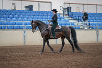 2019 Morgan Horse Show - Sept 01, 2019 - 11193