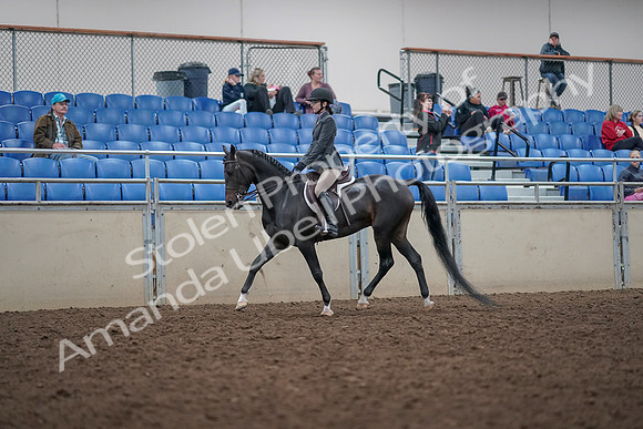 2019 Morgan Horse Show - Aug 31, 2019 - 14673
