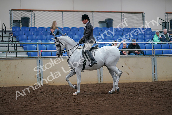 2019 Morgan Horse Show - Aug 30, 2019 - 17274