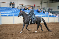 2020 - AB Morgan Horse - Sun, Sept 06 - 08302