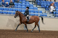 2020 - AB Morgan Horse - Sat, Sept 05 - 10615
