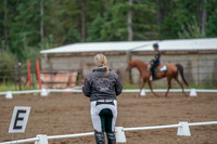 2019 Morgan Horse Show - Aug 30, 2019 - 00215