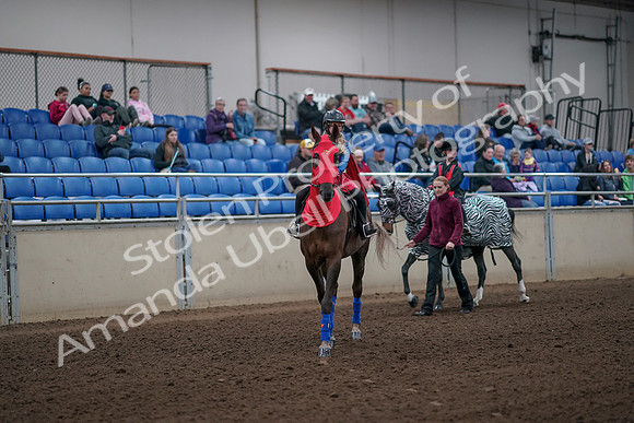 2019 Morgan Horse Show - Aug 31, 2019 - 09992