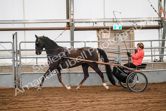 July 19, 2019 - 6994