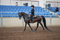 2019 Morgan Horse Show - Sept 01, 2019 - 11202