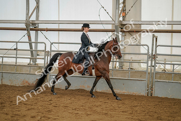 July 20, 2019 - 04608