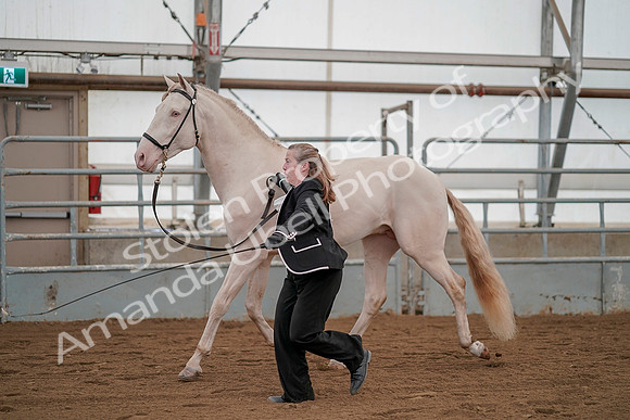 July 19, 2019 - 1329
