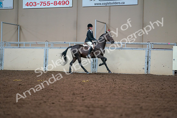 2019 Morgan Horse Show - Aug 30, 2019 - 21068