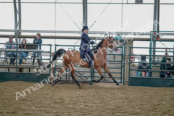 July 20, 2019 - 13952