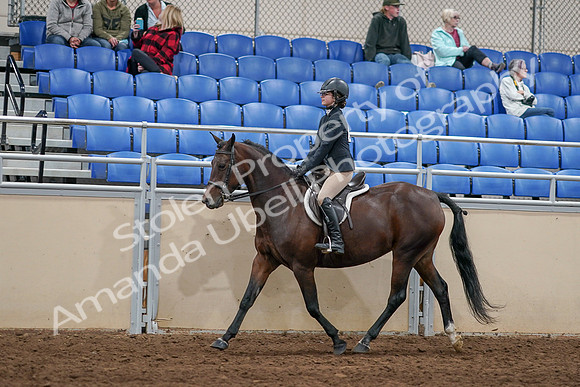 2020 - AB Morgan Horse - Sat, Sept 05 - 14259