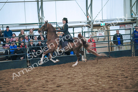 July 20, 2019 - 24085
