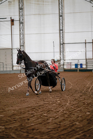 July 19, 2019 - 6704
