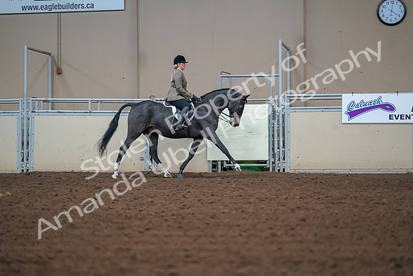 2019 Morgan Horse Show - Aug 30, 2019 - 20725