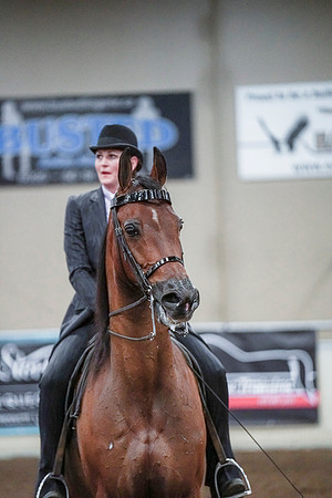 Spring Fling - Saturday - April 20, 2019  -  00874