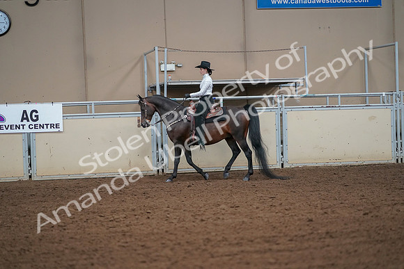 2019 Morgan Horse Show - Aug 30, 2019 - 16909
