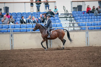 2019 Morgan Horse Show - Aug 31, 2019 - 21369