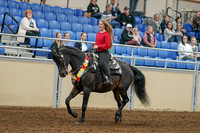 2020 - AB Morgan Horse - Sat, Sept 05 - 10355