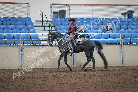 2019 Morgan Horse Show - Aug 31, 2019 - 10651