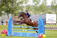 231 - O Landroyal