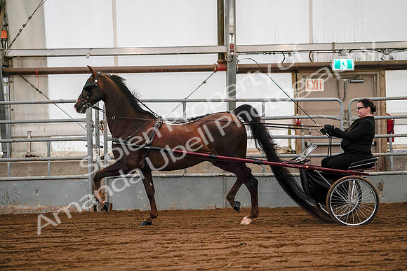 July 19, 2019 - 7052