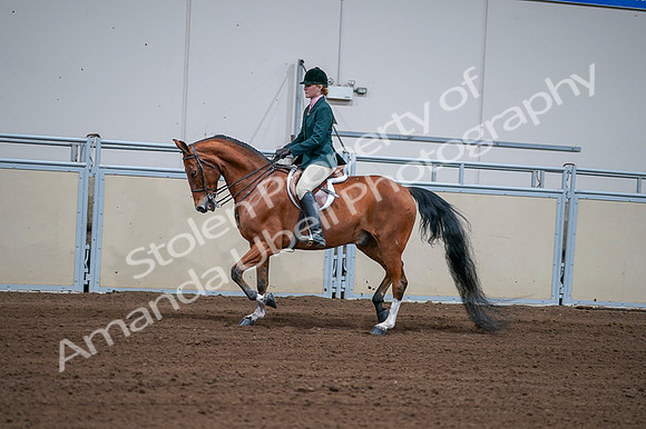 2020 - AB Morgan Horse - Fri, Sept 04 - 01594