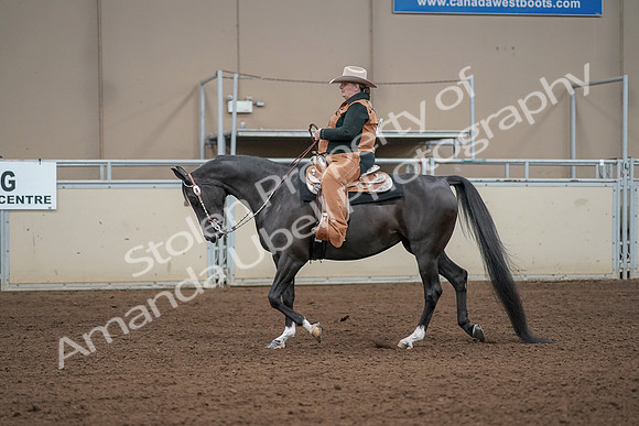 2019 Morgan Horse Show - Aug 31, 2019 - 06058
