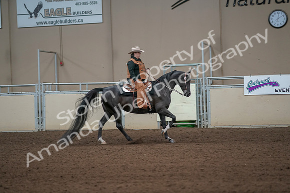 2019 Morgan Horse Show - Aug 31, 2019 - 06161