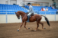 2020 - AB Morgan Horse - Fri, Sept 04 - 01471