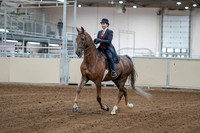 2020 - AB Morgan Horse - Sat, Sept 05 - 06040
