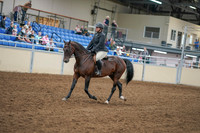 2020 - AB Morgan Horse - Sat, Sept 05 - 09303