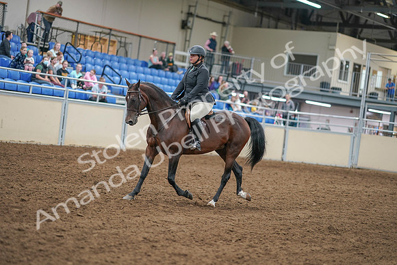 2020 - AB Morgan Horse - Sat, Sept 05 - 09303