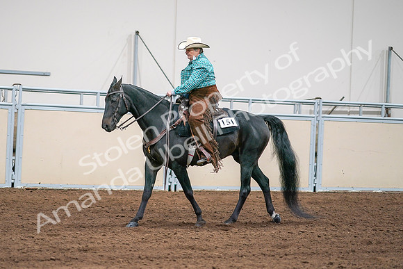2020 - AB Morgan Horse - Sun, Sept 06 - 01592