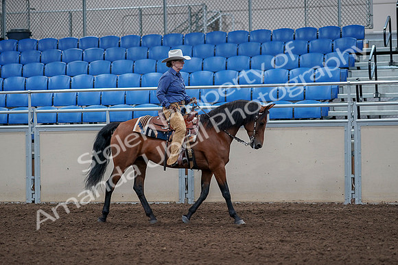 2020 - AB Morgan Horse - Fri, Sept 04 - 00199