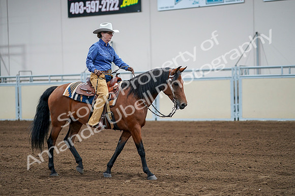 2020 - AB Morgan Horse - Fri, Sept 04 - 00005