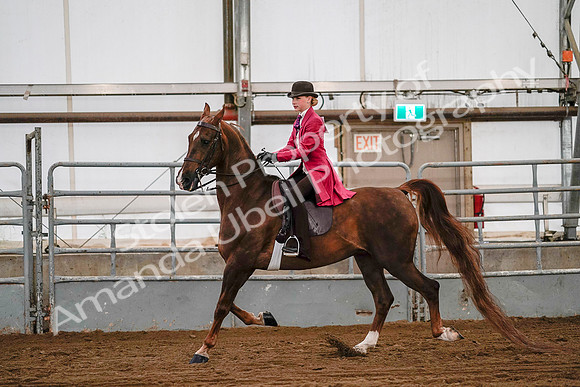 July 19, 2019 - 8747