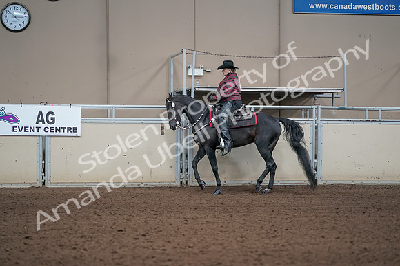 2019 Morgan Horse Show - Aug 31, 2019 - 10613