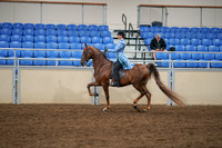 2020 - AB Morgan Horse - Sat, Sept 05 - 03322