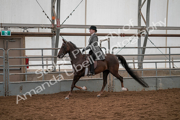 July 19, 2019 - 13040
