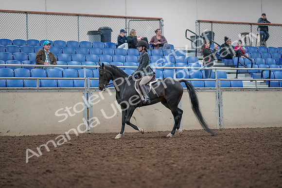 2019 Morgan Horse Show - Aug 31, 2019 - 14676