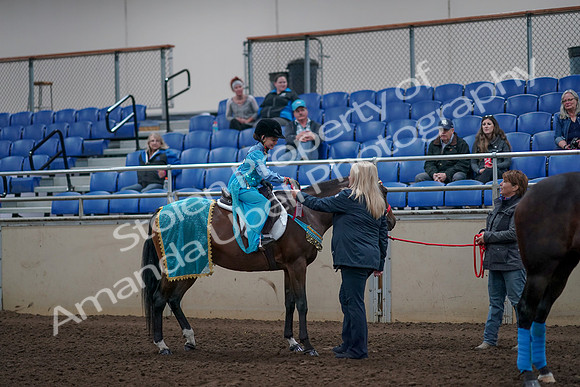 2019 Morgan Horse Show - Aug 31, 2019 - 10204